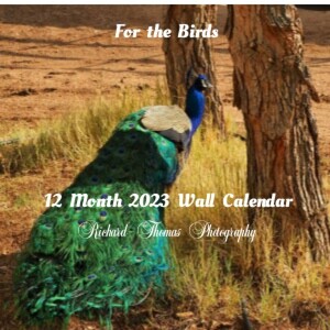 For the Birds 20 month calendar