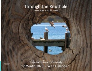Through the Knothole by Richard Thomas photography